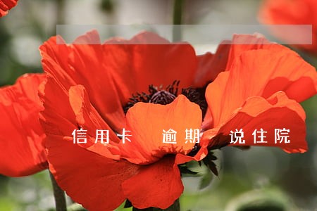 信用卡 逾期 说住院 信用卡 逾期 说住院
